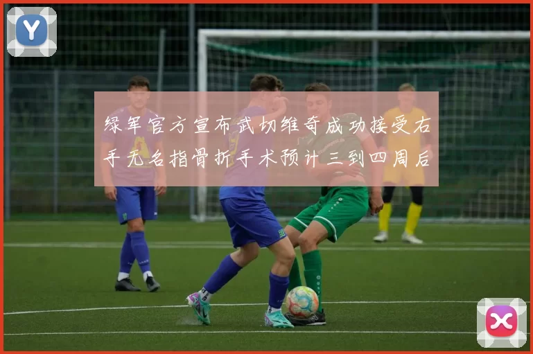 绿军官方宣布武切维奇成功接受右手无名指骨折手术预计三到四周后复查